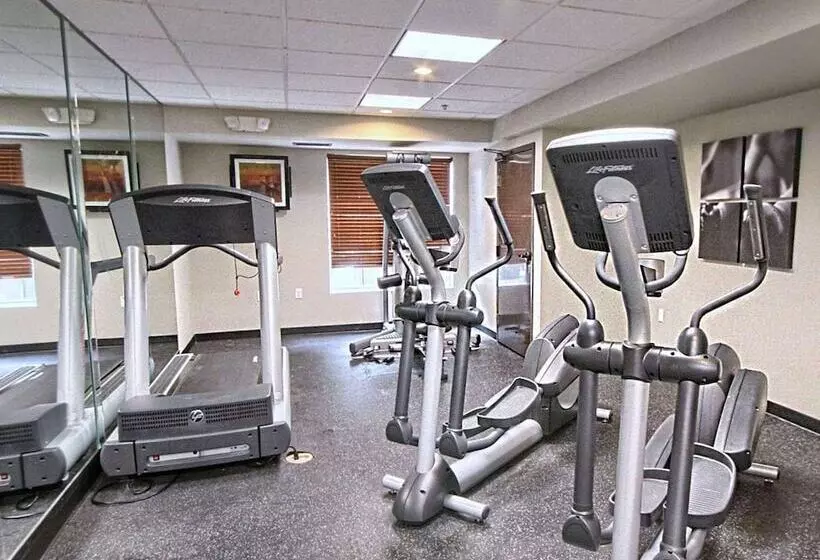 فندق Country Inn & Suites By Radisson, Dearborn, Mi