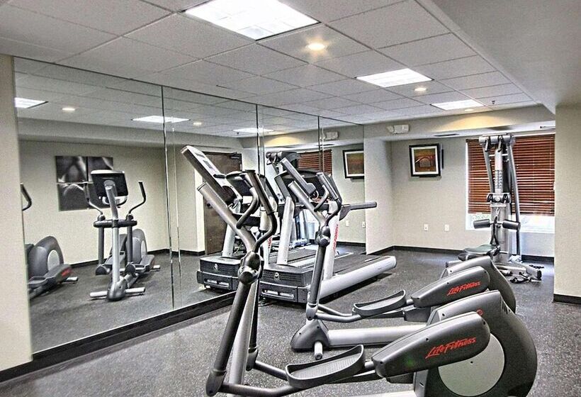 בית מלון כפרי Country Inn & Suites By Radisson, Dearborn, Mi