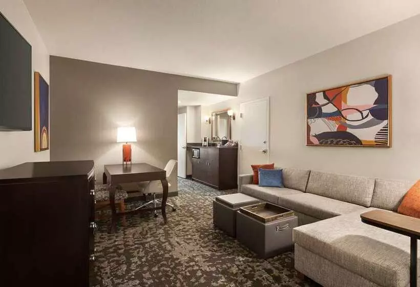 Отель Embassy Suites By Hilton Orlando Lake Buena Vista South