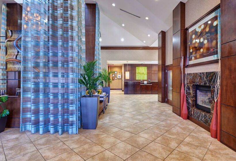 فندق Hilton Garden Inn El Paso Airport