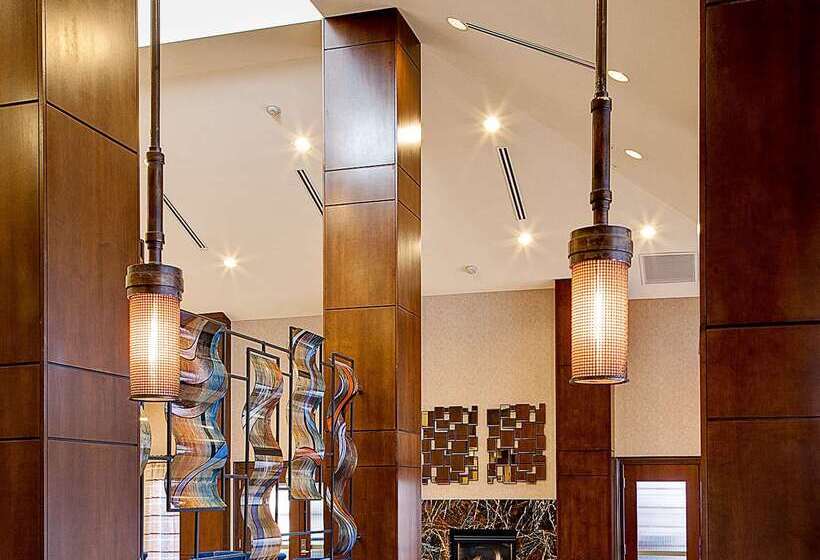 فندق Hilton Garden Inn El Paso Airport