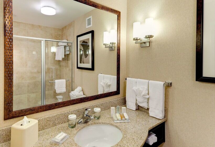 فندق Hilton Garden Inn El Paso Airport