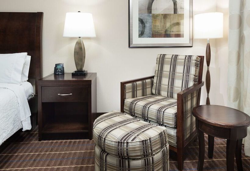 فندق Hilton Garden Inn El Paso Airport