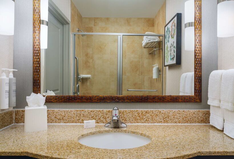 فندق Hilton Garden Inn El Paso Airport