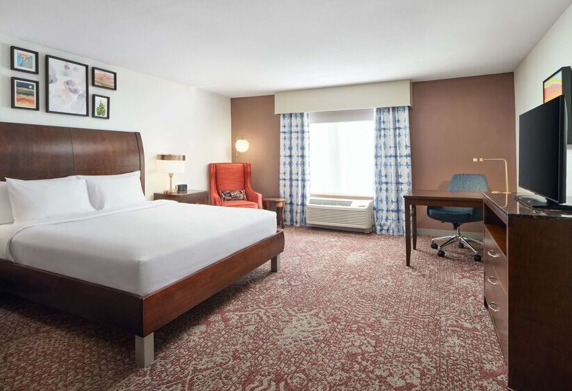 فندق Hilton Garden Inn El Paso Airport