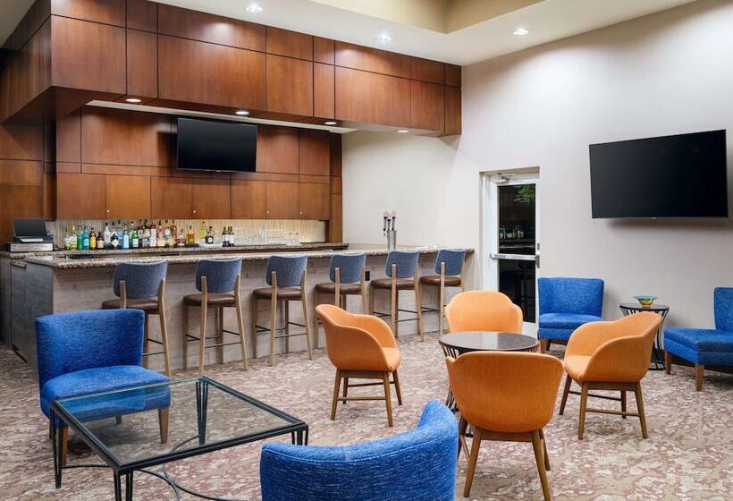 فندق Hilton Garden Inn El Paso Airport