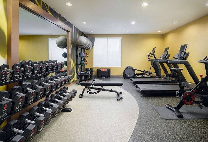 فندق Hilton Garden Inn El Paso Airport