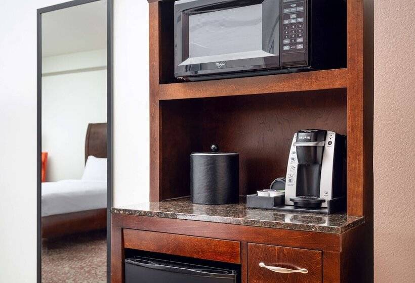 فندق Hilton Garden Inn El Paso Airport
