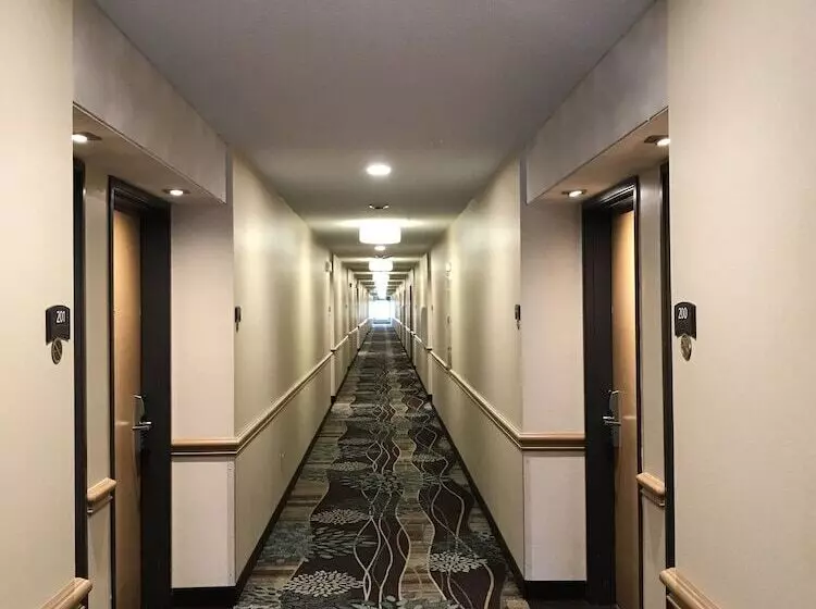 酒店 Staybridge Suites Columbia Highway 63 & I 70, An Ihg