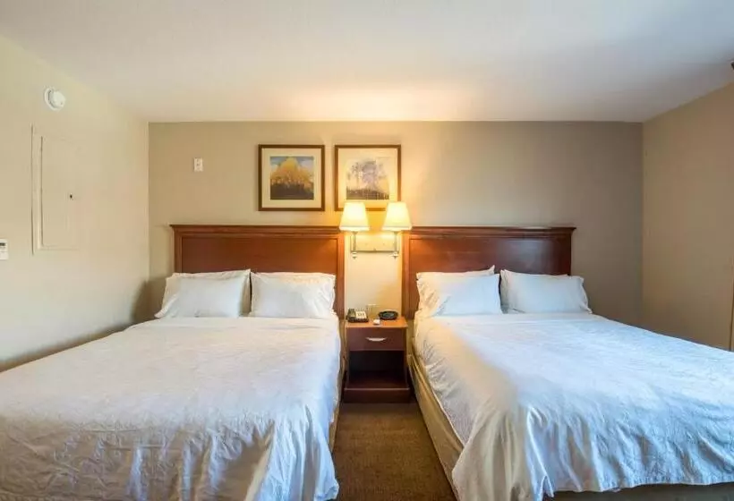 酒店 Western Slope Suites Parachute