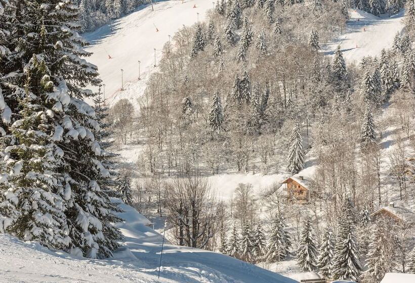 Residence Pierre & Vacances Les Gemeaux