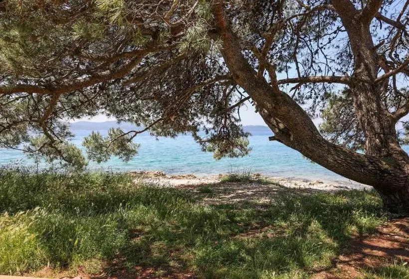 Hi Hostel Zadar