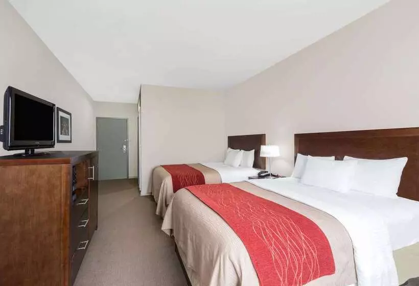 酒店 Baymont By Wyndham Columbus