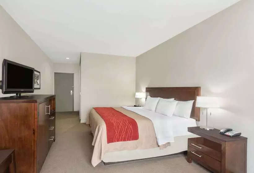 酒店 Baymont By Wyndham Columbus