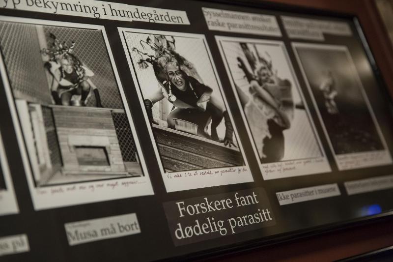 Hotel Maryann S Polarrigg