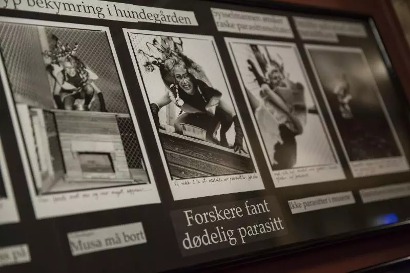 هتل Maryann S Polarrigg