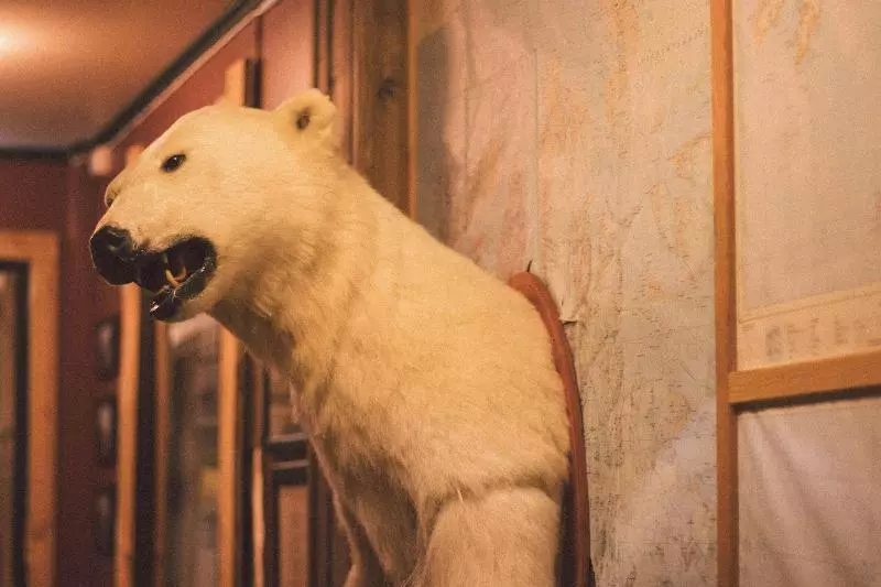 هتل Maryann S Polarrigg