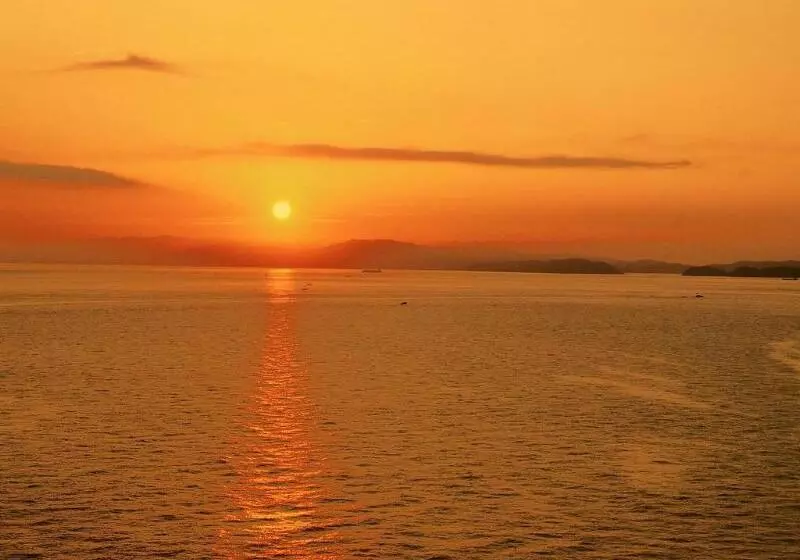 Отель New Awaji