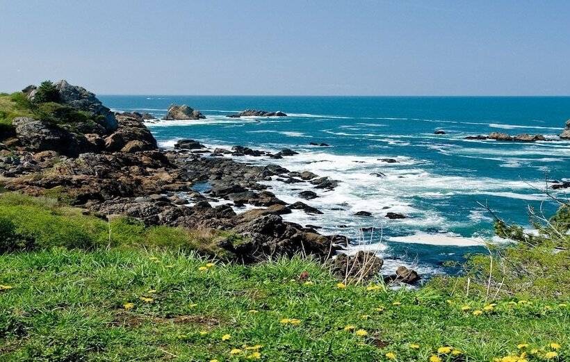 בית מלון כפרי Pearl City Hachinohe