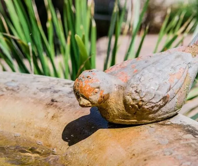 Отель Su Nido Inn