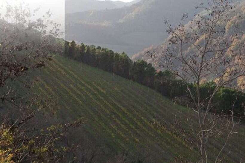 Borghetto Di Brola   Relais De Charme