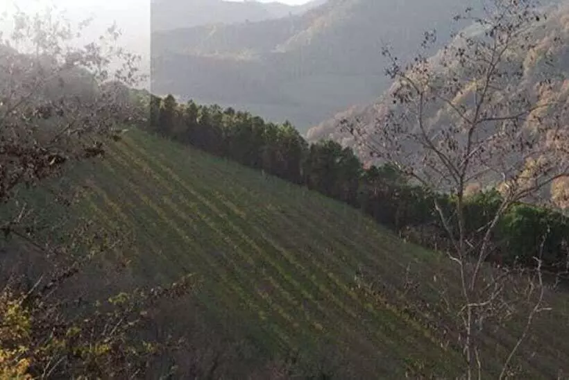 Borghetto Di Brola   Relais De Charme