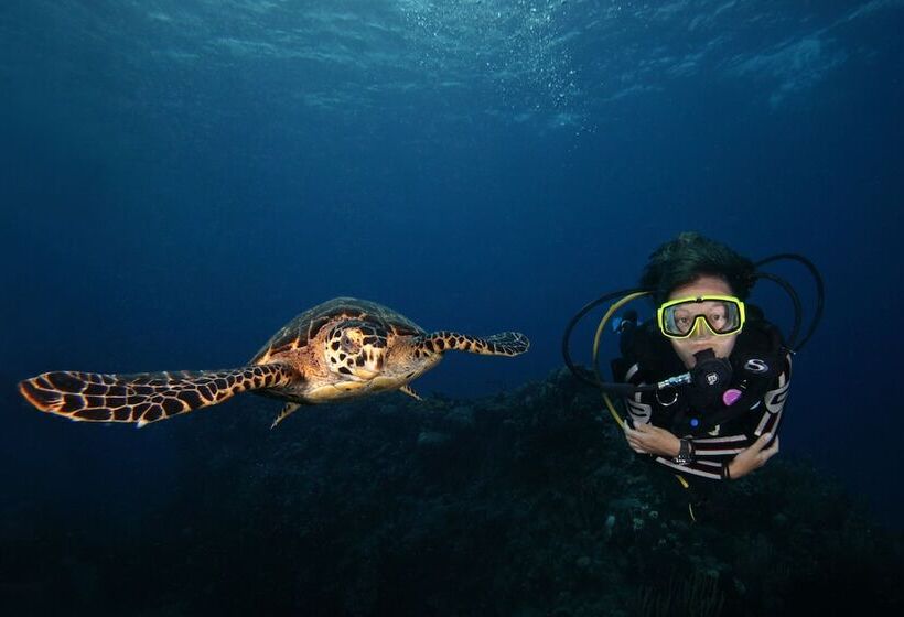 هتل Eden Beach Resort