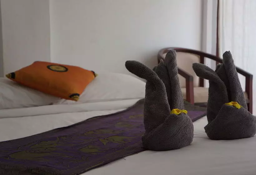 Hotelli The Elephant Crossing