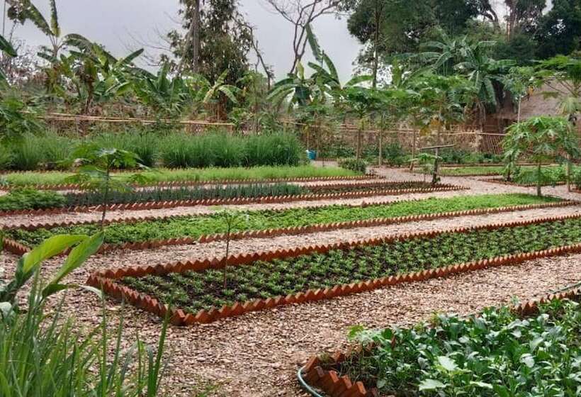 호텔 La Folie Lodge