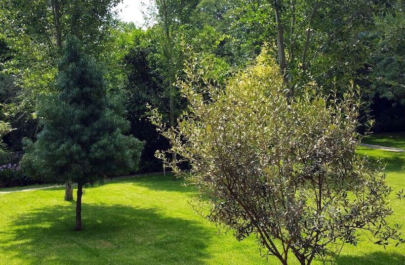 Отель Sandton Lodge Rivonia