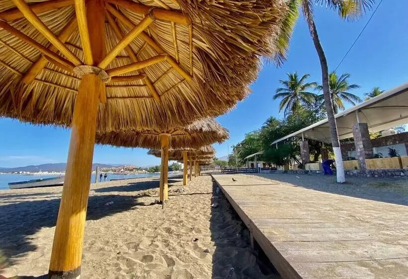 ホテル Zar Manzanillo