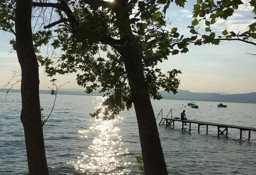 בית מלון כפרי Alfieri