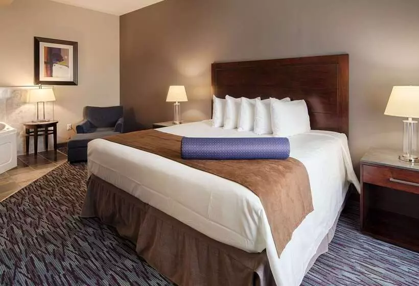 Отель Best Western Plus Brandon Inn