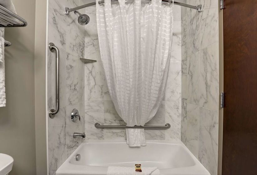 فندق Best Western Plus Brandon Inn