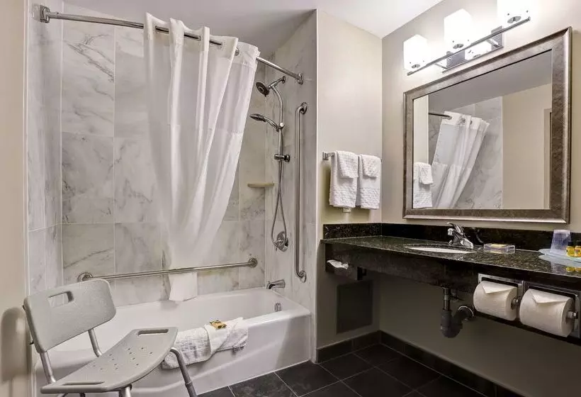 Отель Best Western Plus Brandon Inn