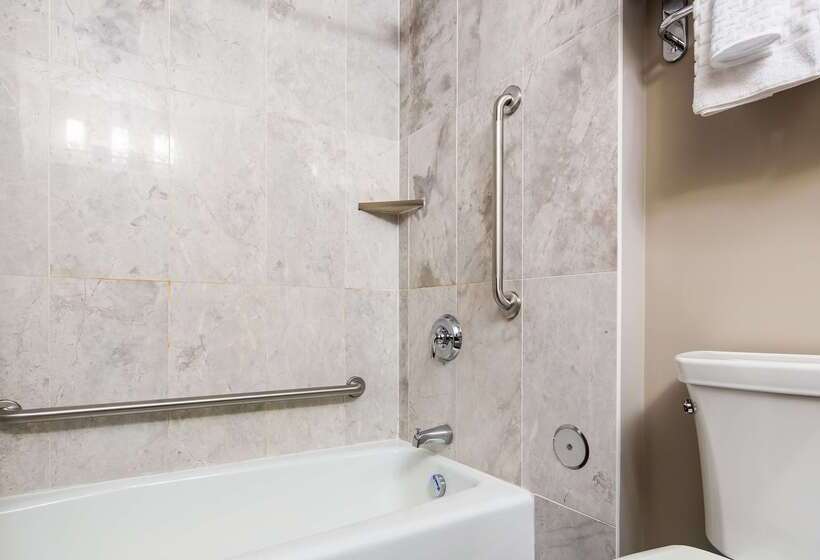 فندق Best Western Plus Brandon Inn