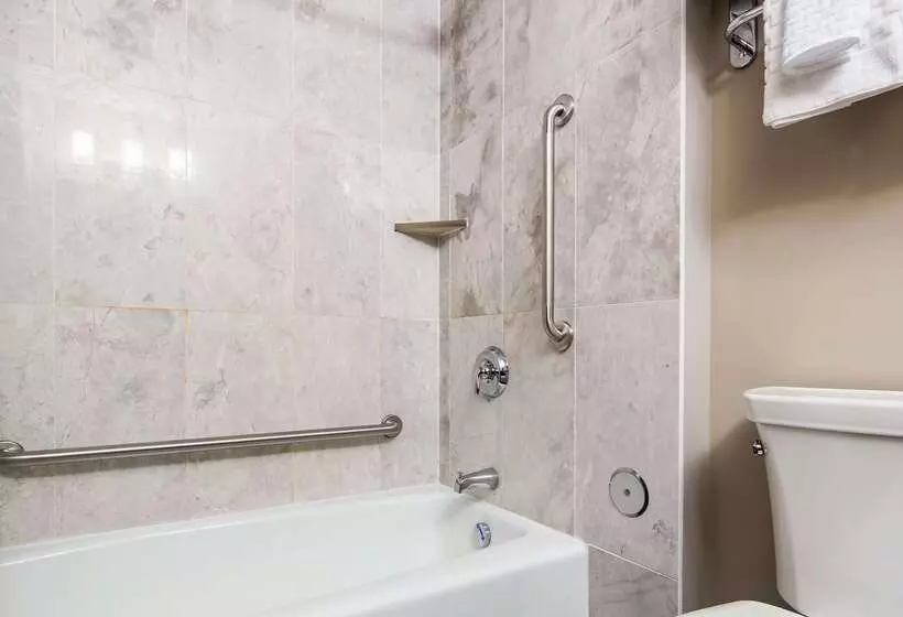 Отель Best Western Plus Brandon Inn