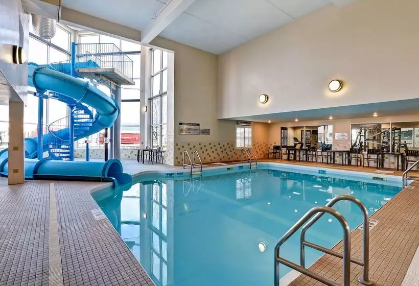 Отель Best Western Plus Brandon Inn