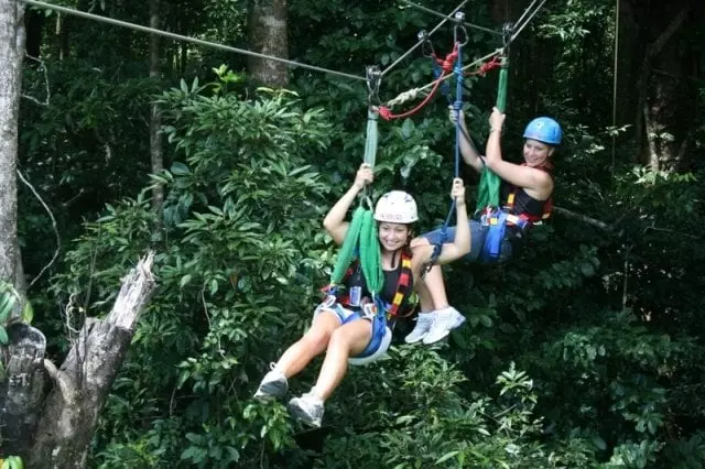 فندق Cape Tribulation Resort