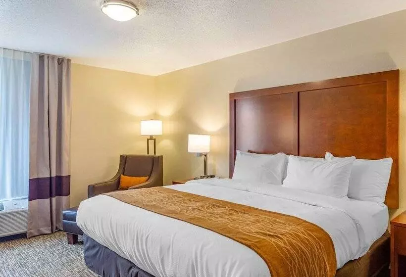 酒店 Comfort Inn Dekalb  Adjacent The University