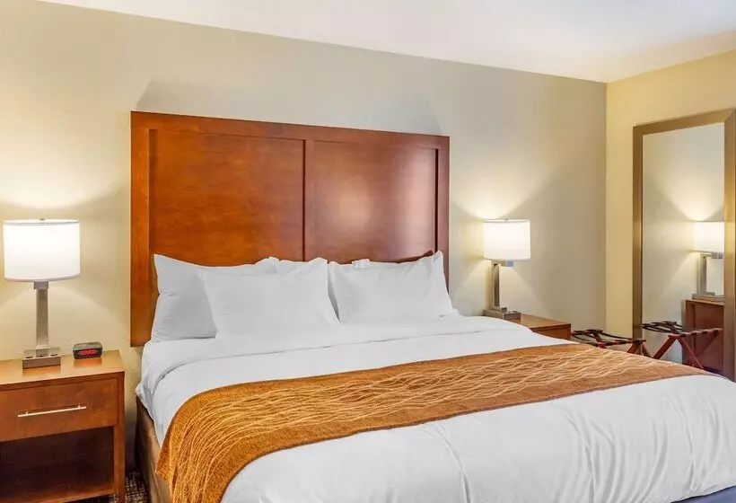 酒店 Comfort Inn Dekalb  Adjacent The University