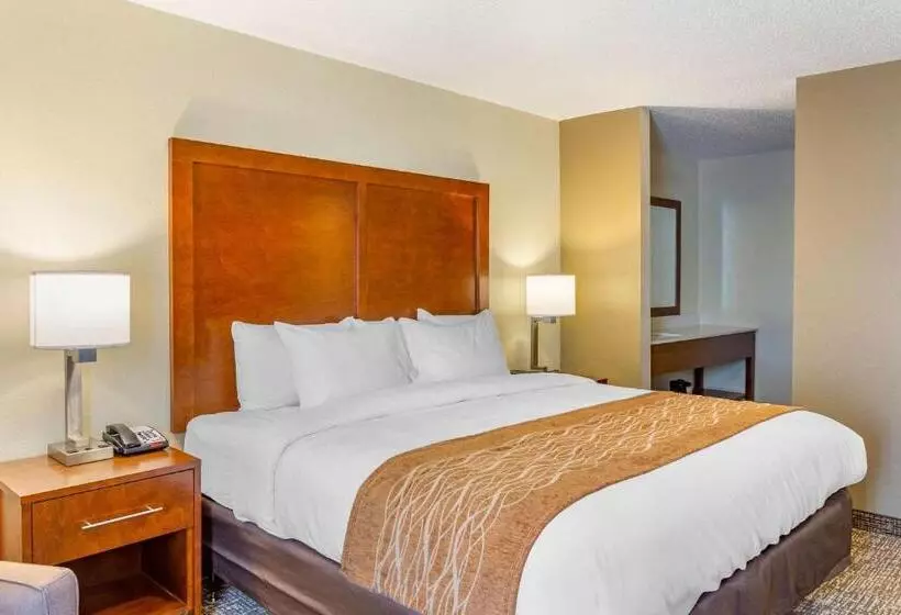 酒店 Comfort Inn Dekalb  Adjacent The University