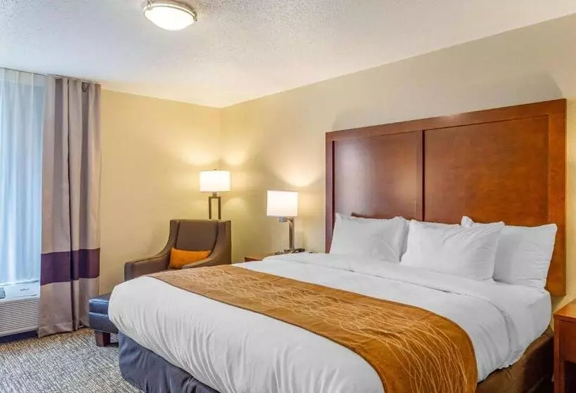 酒店 Comfort Inn Dekalb  Adjacent The University