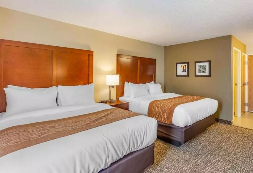 酒店 Comfort Inn Dekalb  Adjacent The University