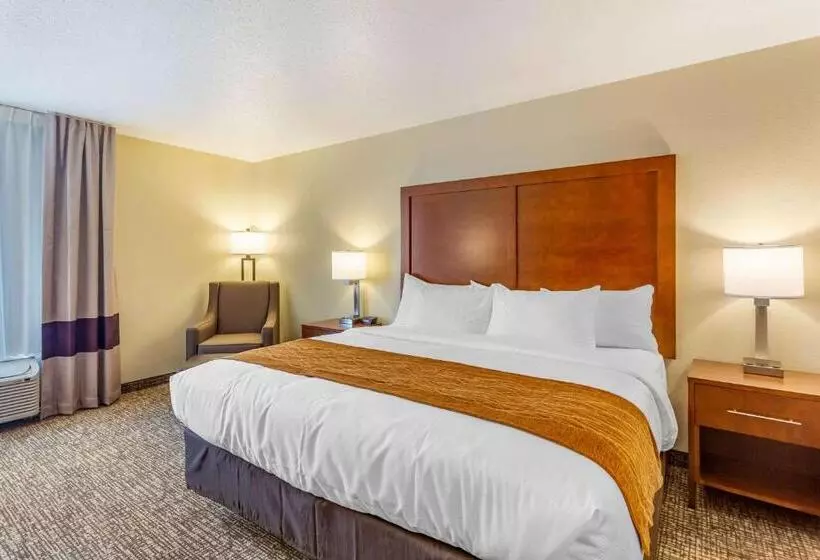 酒店 Comfort Inn Dekalb  Adjacent The University