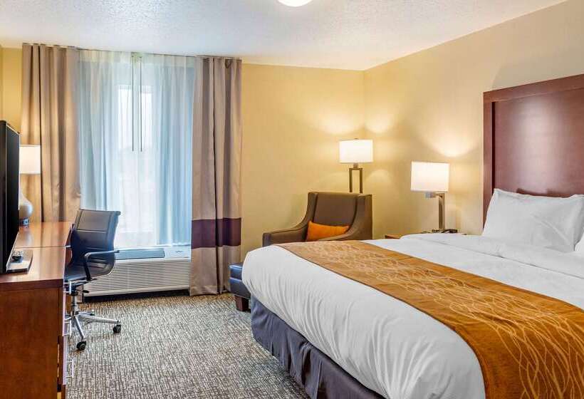 فندق Comfort Inn Dekalb Adjacent The University
