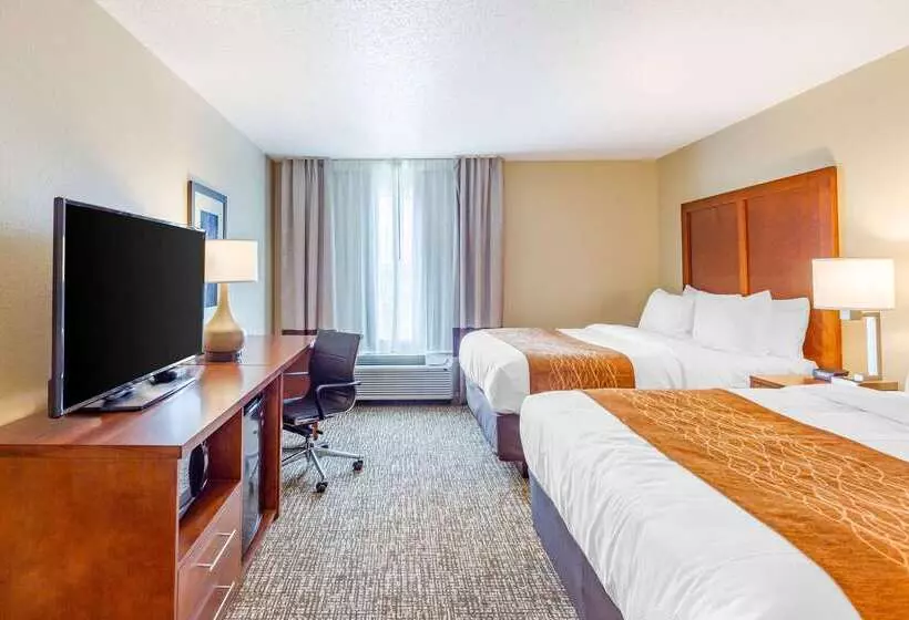 酒店 Comfort Inn Dekalb  Adjacent The University