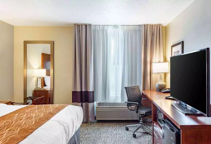 酒店 Comfort Inn Dekalb  Adjacent The University