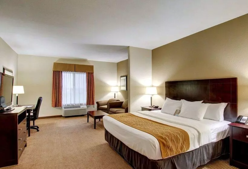 Отель Comfort Inn & Suites
