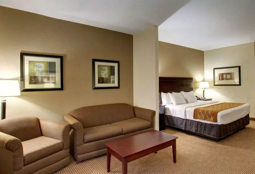 Отель Comfort Inn & Suites